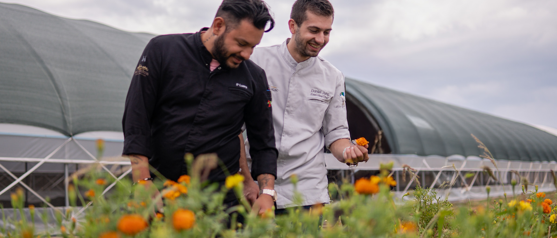 Regionale Lieferanten und Erzeuger Regionale Lieferanten und Erzeuger