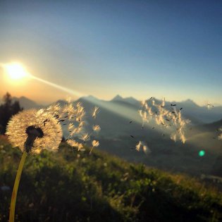 Winterurlaub im Allgäu | Panoramahotel Oberjoch Winterurlaub im Allgäu | Panoramahotel Oberjoch